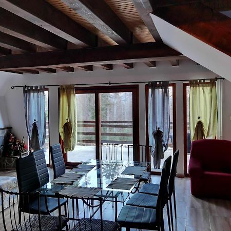 Vila Ines Sinaia Zewnętrze zdjęcie
