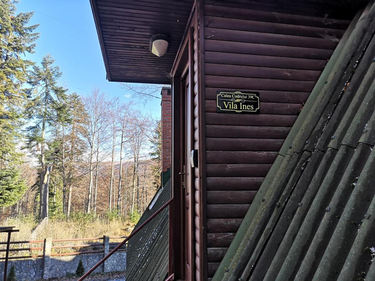 Vila Ines Sinaia Zewnętrze zdjęcie