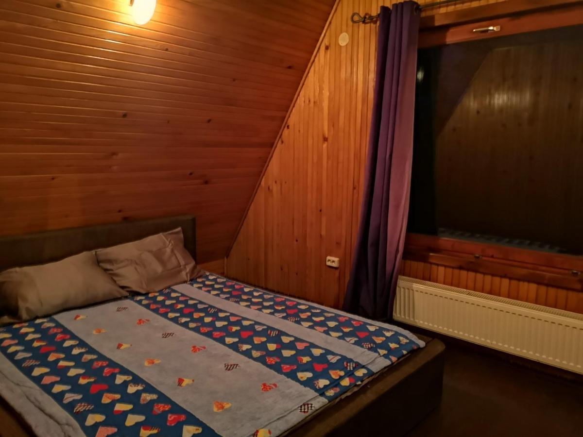 Vila Ines Sinaia Zewnętrze zdjęcie