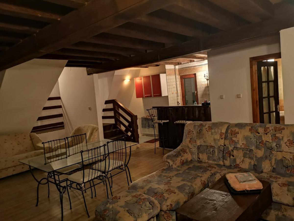 Vila Ines Sinaia Zewnętrze zdjęcie