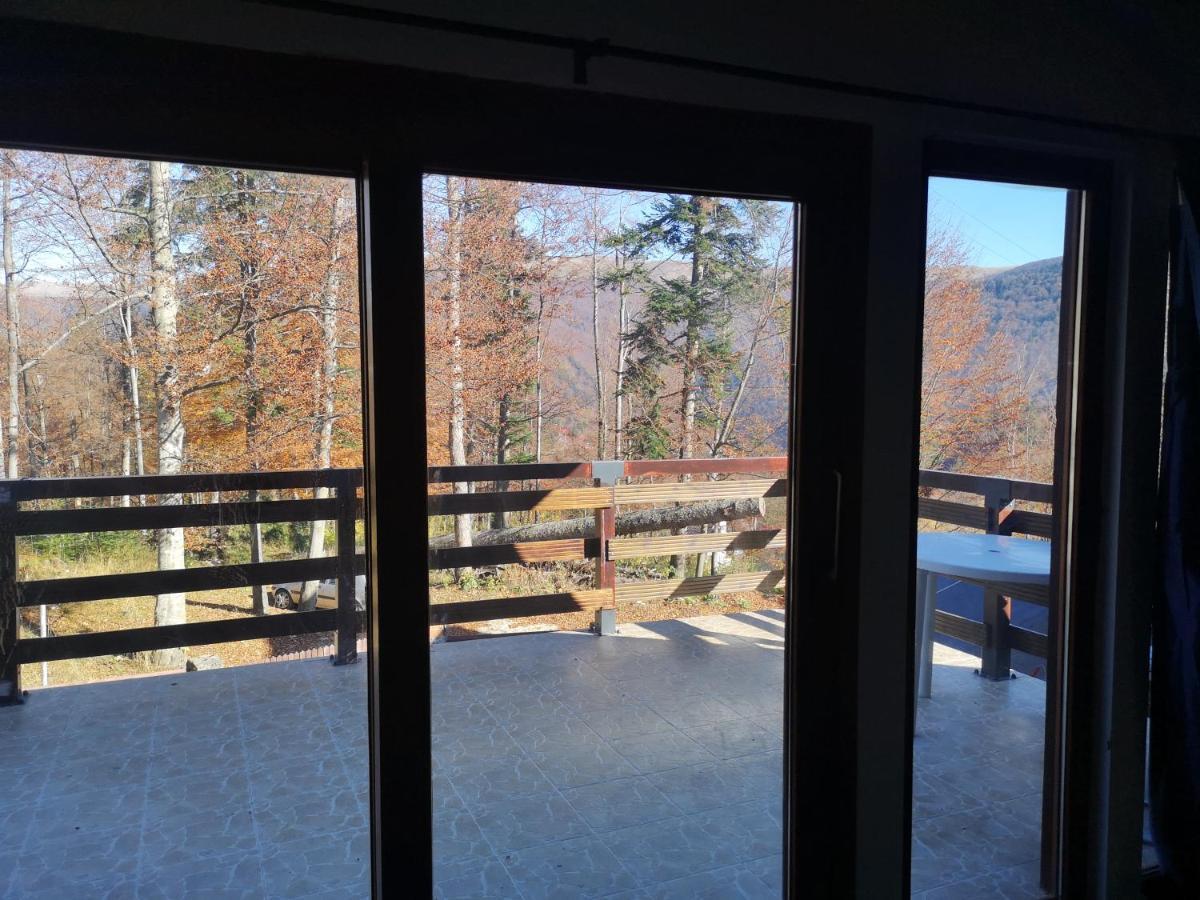 Vila Ines Sinaia Zewnętrze zdjęcie