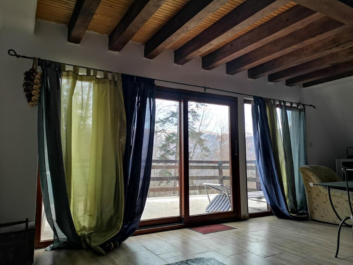 Vila Ines Sinaia Zewnętrze zdjęcie