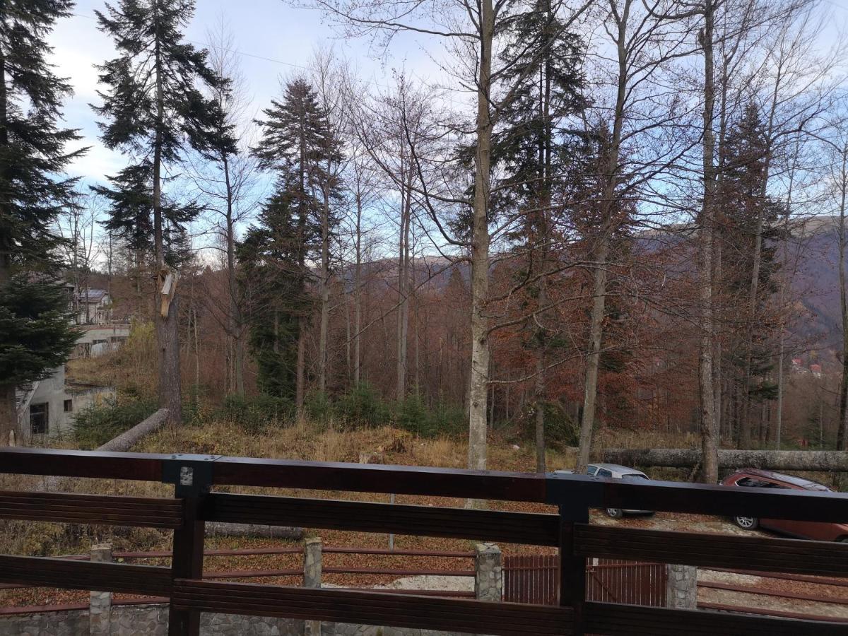 Vila Ines Sinaia Zewnętrze zdjęcie
