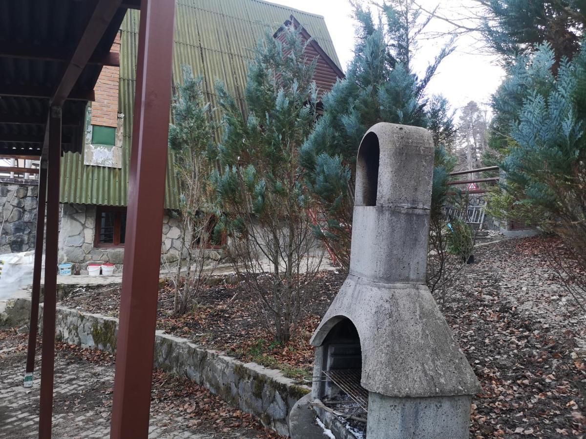 Vila Ines Sinaia Zewnętrze zdjęcie