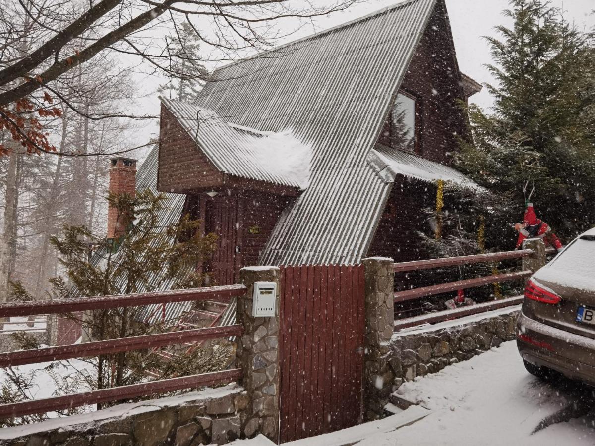 Vila Ines Sinaia Zewnętrze zdjęcie